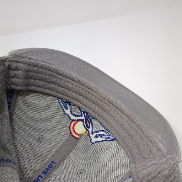 Colorado LLA Snapback Hat Gray One Size Adjustable Love Light Apparel - Picture 7 of 9